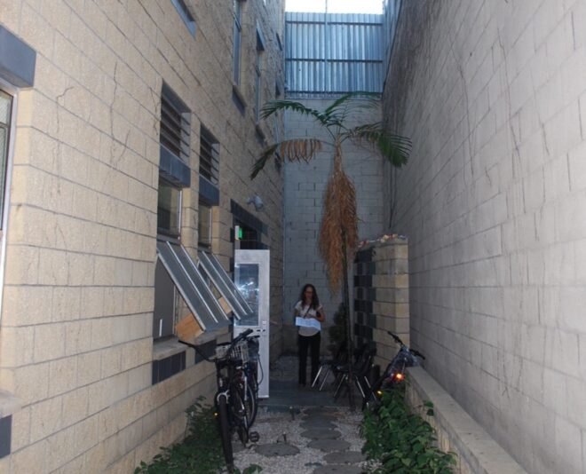 narrow alley with a tree