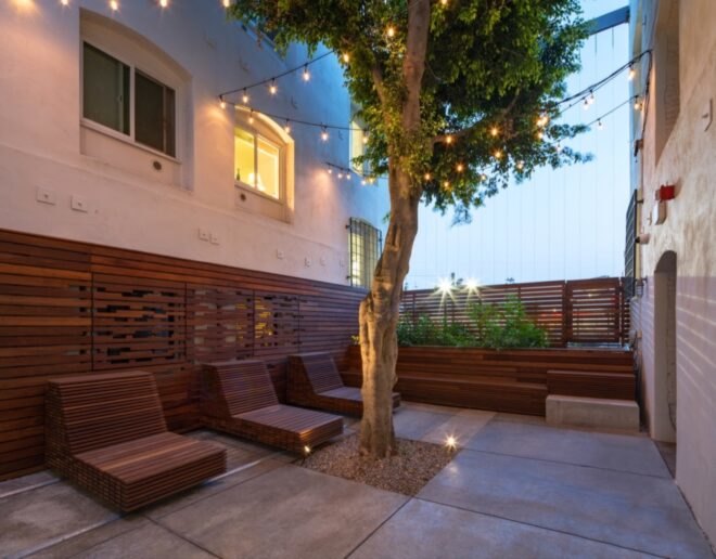 ficus tree covered in string lights in a courtyard
