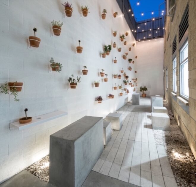 white wall covered in potted plants