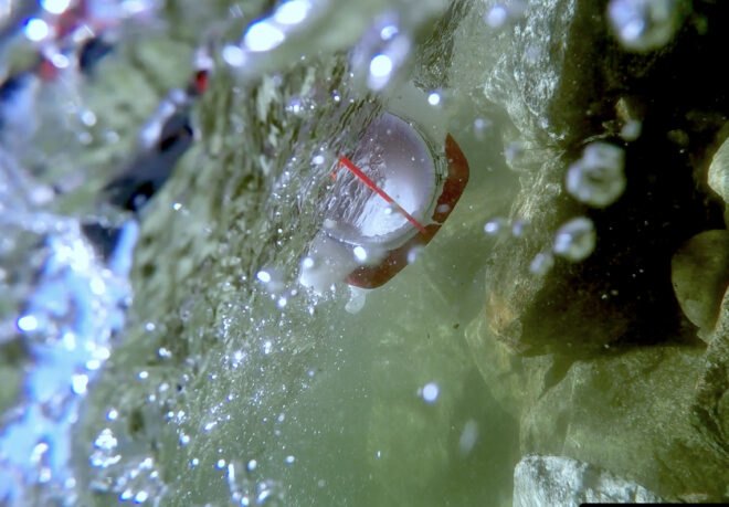 underwater image of plastic ocean trawler