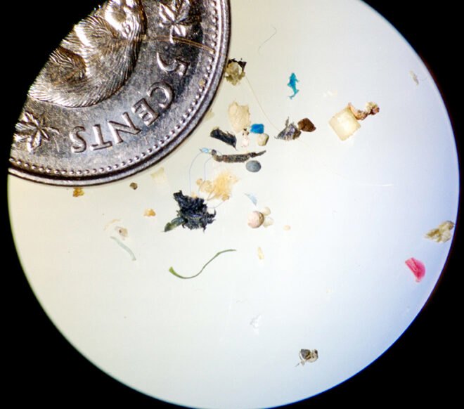 microscope view of microplastics