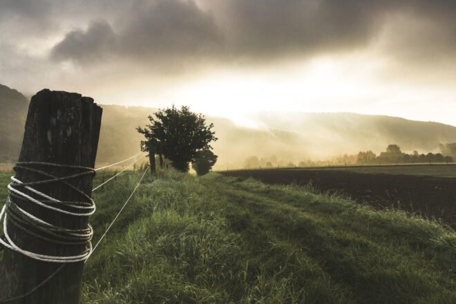 dark, misty farmland