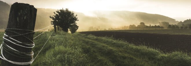 dark, misty farmland