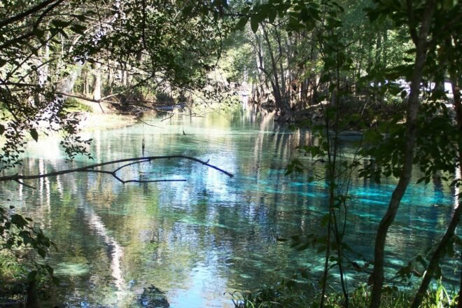 crystal clear blue waters surrounded by trees