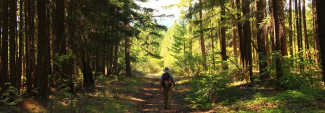 person hiking in Mount Hood National Forest