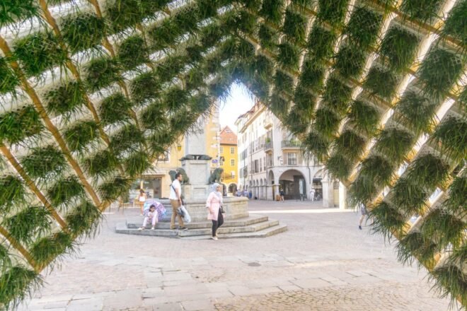 inside a pavilion with planted walls