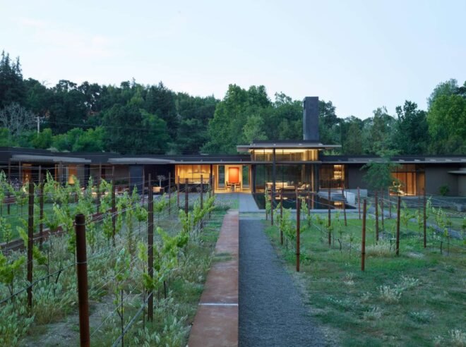 pathway surrounded by vineyards leading up to home