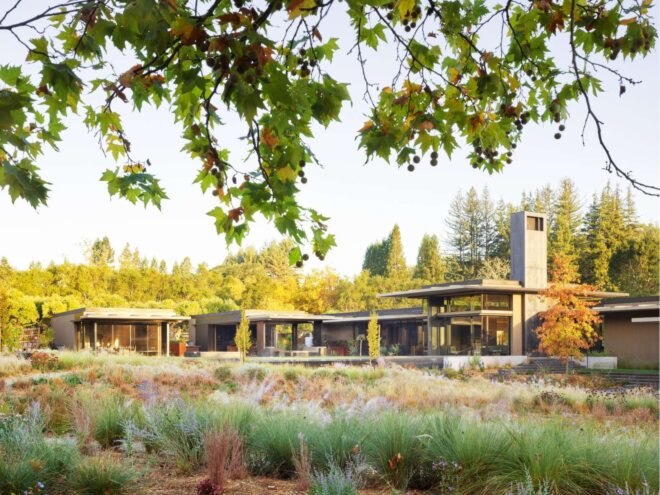 large home surrounded by vineyards