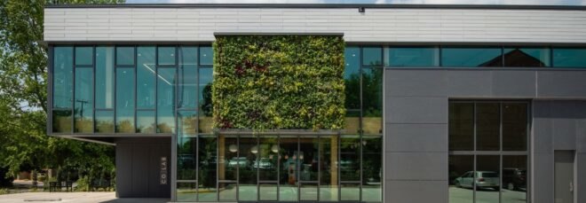 white building with a green wall