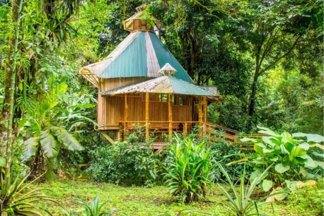 large treehouse with front deck