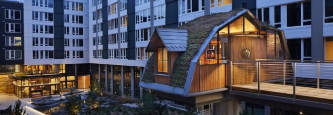 small wood treehouse in a courtyard