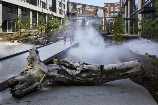fog in a courtyard