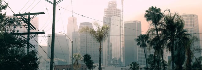 high-rises and palm trees shrouded in smog