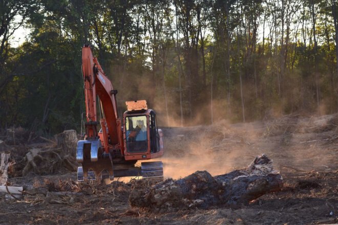red machine bulldozing trees in a forest