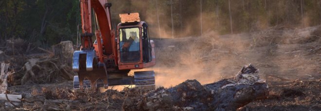 red machine bulldozing trees in a forest