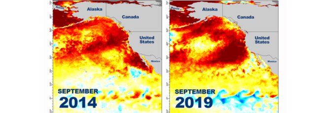Map of warming ocean temperatures