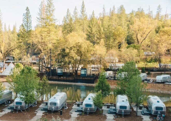 group of black cabins on waters edge