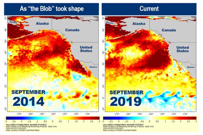 Map of warming ocean temperatures