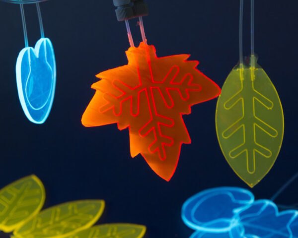 colorful and vibrant leafs