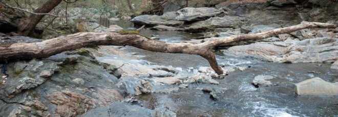 Proctor Creek flowing through a wooded area in Atlanta, Georgia