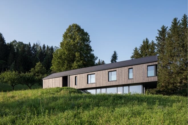 dark home with pitched roof
