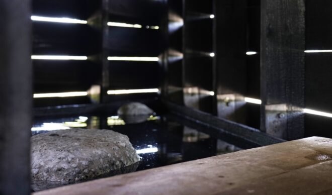 rocks in small pool of water