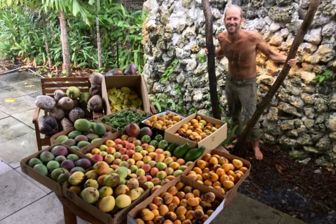 Rob foraging fruit in a city