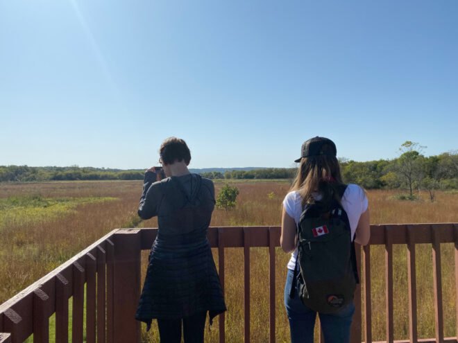 two people on observation deck looking out at wetlands