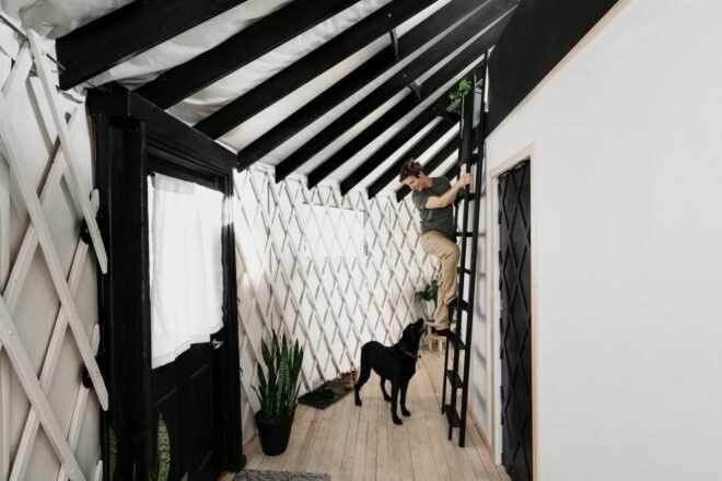 dog looking at person climbing ladder to a bedroom loft