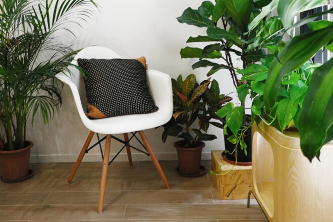 tan leather and black and white fabric pillow on a white chair in room filled with plants