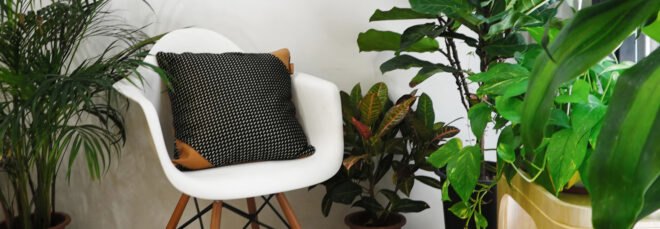 tan leather and black and white fabric pillow on a white chair in room filled with plants
