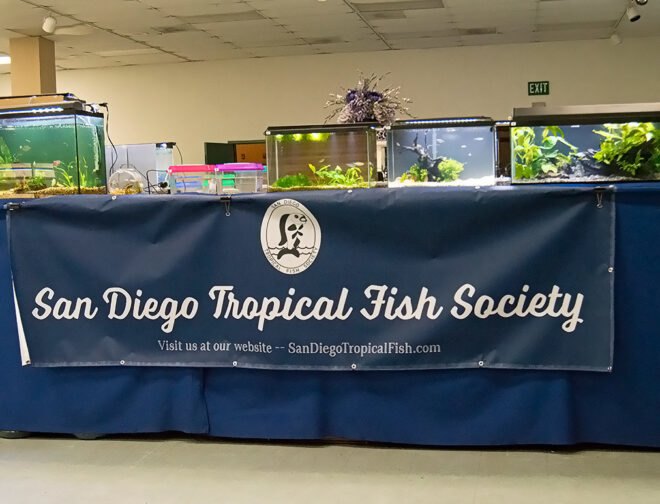 Signage of the San Diego Tropical Fish Society, on a section of the SDTFS Annual Fish Show