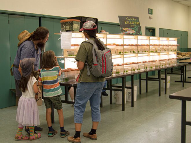 family looking at fish tanks
