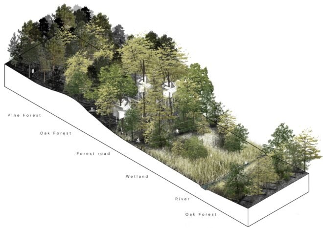 landscape diagram with forest background