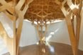 giant wood support beams that appear as trees inside a white room