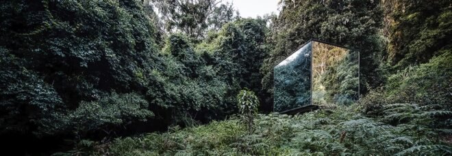 small mirrored building in a forest