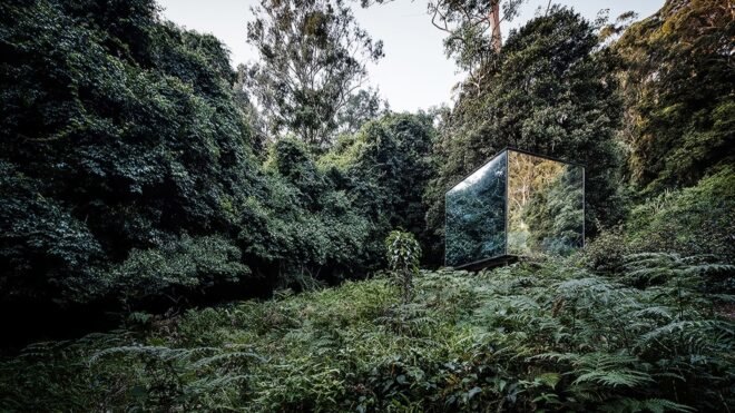 small mirrored building in a forest