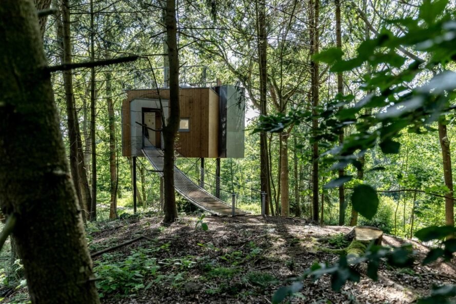 star-shaped treehouse in a forest