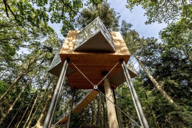 star-shaped treehouse in a forest