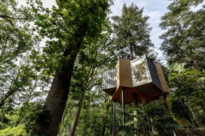 star-shaped treehouse in a forest