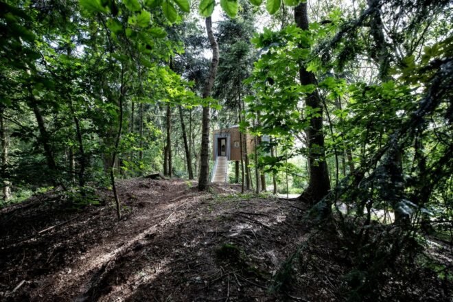 star-shaped treehouse in a forest