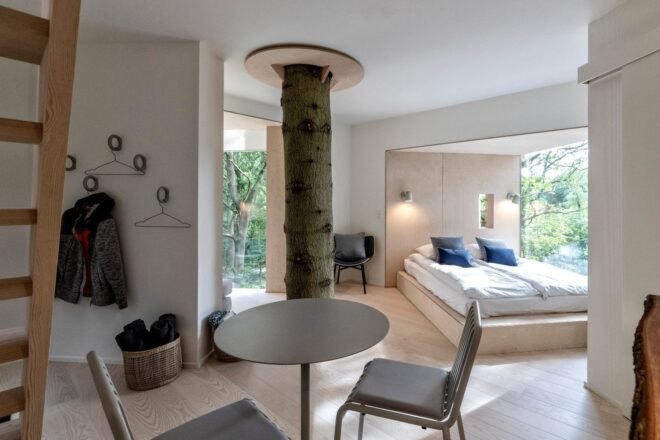 tree trunk growing through center of a cabin
