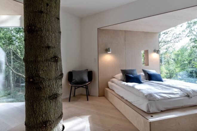bed beside tree trunk growing through a cabin