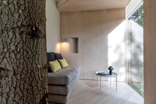 gray sofa near a tree trunk inside a cabin