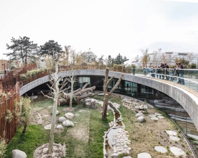 round zoo enclosure with rocks, trees and bamboo