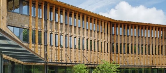 tall timber building