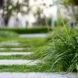 grass and purple flowers near stone pathway