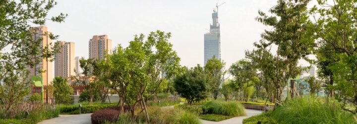 walkways and greenery with cityscape in background