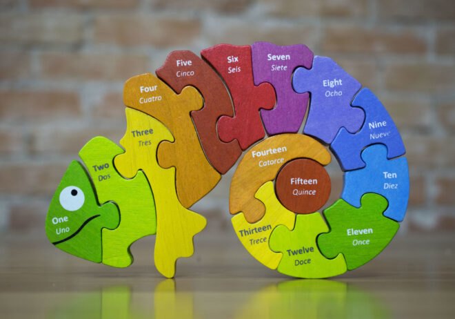 colorful wooden chameleon toy puzzle