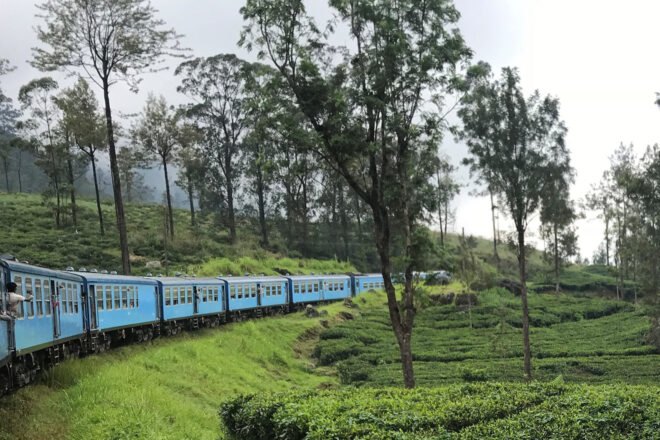 blue train traveling through lush landscape